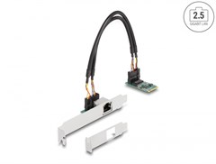 Delock 95272 - Dieses M.2 PCIe Modul von Delock er